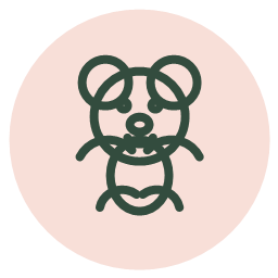 Teddy bear